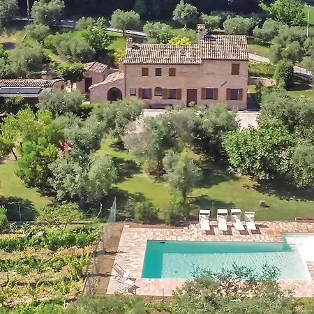 Dei Girasoli Petriolo