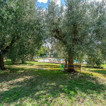 Dei Girasoli * Petriolo